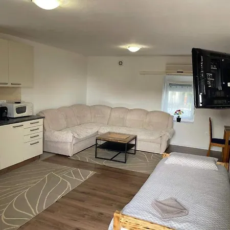 Apartma Saaan *